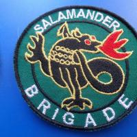 Patch brigade salamandre 1 