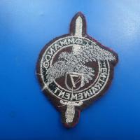 Patch entrainement commando 7 1 