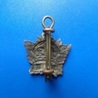 Service general canada ww1 insigne de col 3 